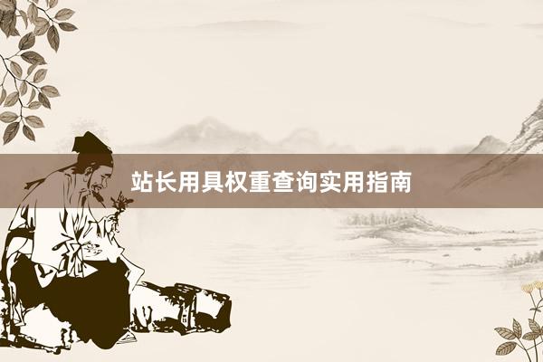 站长用具权重查询实用指南