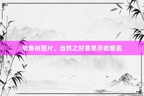 皂角树图片，当然之好意思尽收眼底